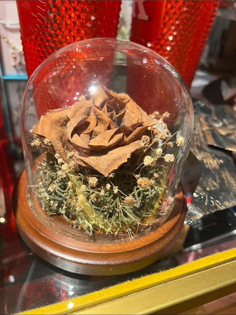 Preserved Brown Rose Dome Decorative Accent by